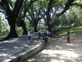Chittagong DC Hill